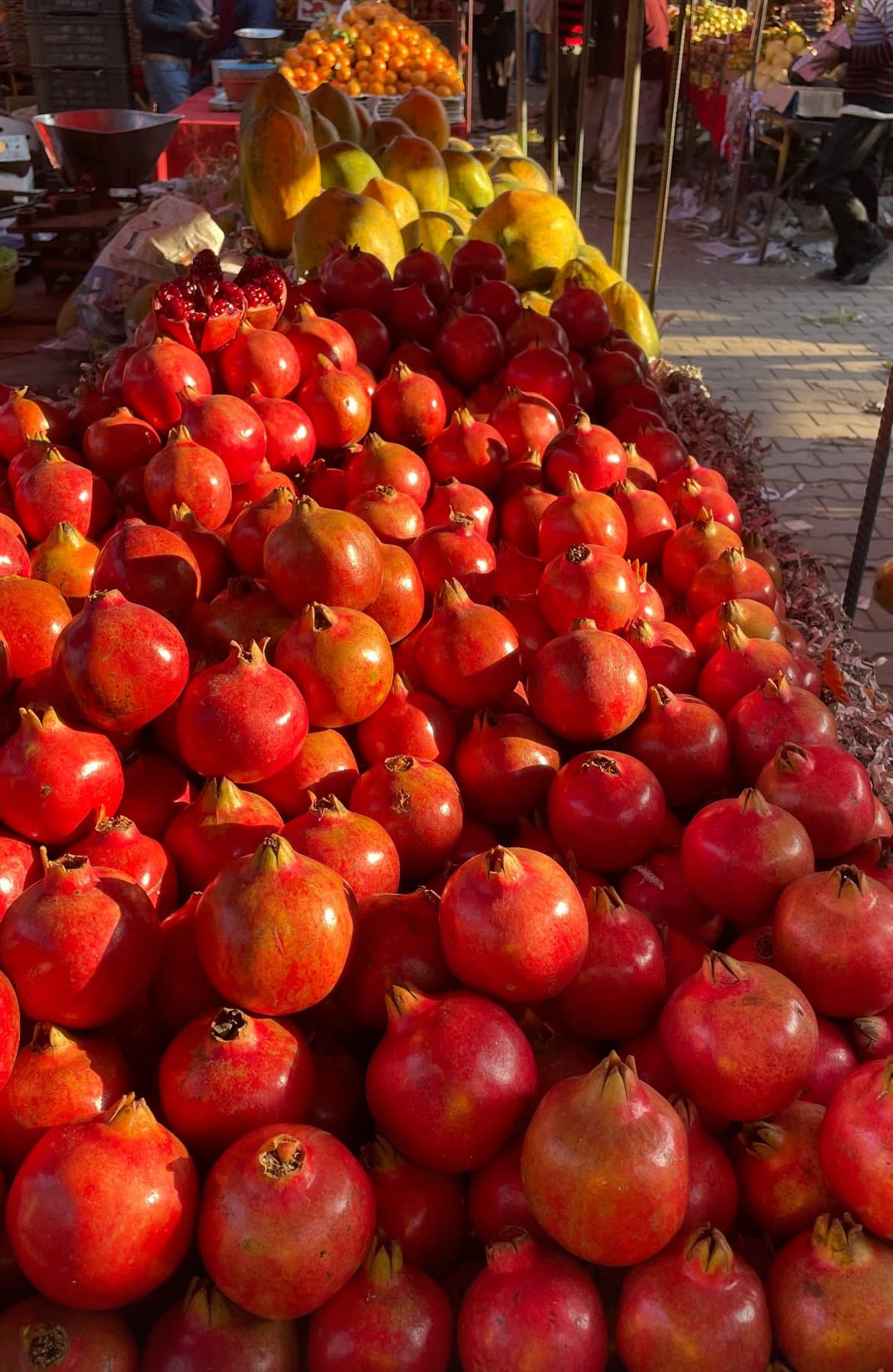 Close-up of Pommos